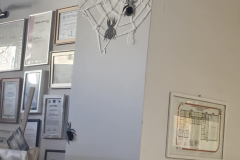 8e5cf282-b241-426e-b6fc-5daf89e2eabd