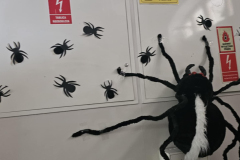 9ff41054-febe-4e56-a9d9-e8ec4aa7a295-1