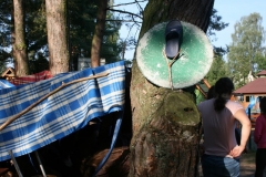 2016-09-09 08.39.21 (Kopiowanie)