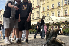 IMG_7253