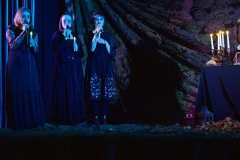 dsc-0284-picture5a2152cd60073