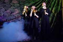 dsc-0286-picture5a2152d24c732