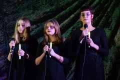 dsc-0290-picture5a2152e508177