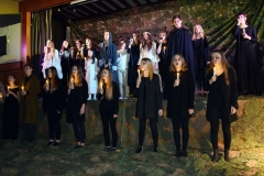 dsc-0313-picture5a2152df4bdc4