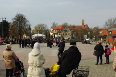 IMGP5073