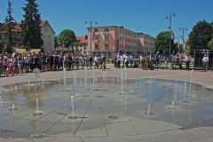IMGP1956