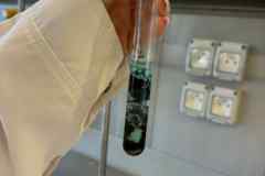 Messenger_creation_A41E15B4-DF26-4BC7-8849-2E6833D373DE