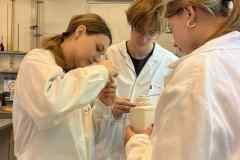 Messenger_creation_C662AEBB-41DD-463D-8CB3-D87CC2B51789