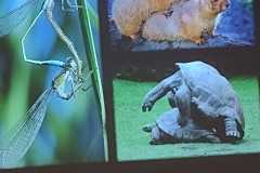 IMG-20251210-WA0006