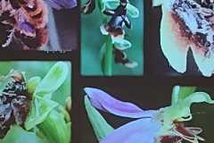 IMG-20251210-WA0007