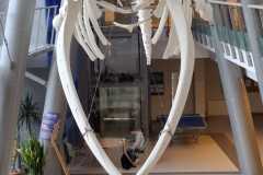 IMG-20251210-WA0012