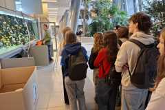 IMG-20251210-WA0013