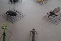 IMG-20251210-WA0023